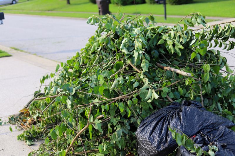 Blackberry Bush Removal in Rockwall, TX