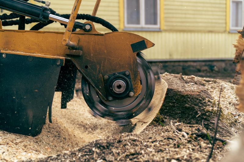 Bush Stump Grinding in Aiken, SC
