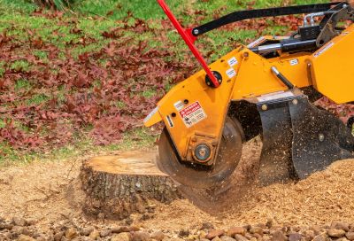 Commercial Stump Grinding in Waldorf, MD