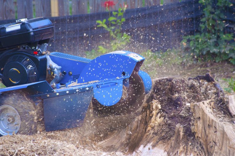Commercial Stump Grinding in Aiken, SC