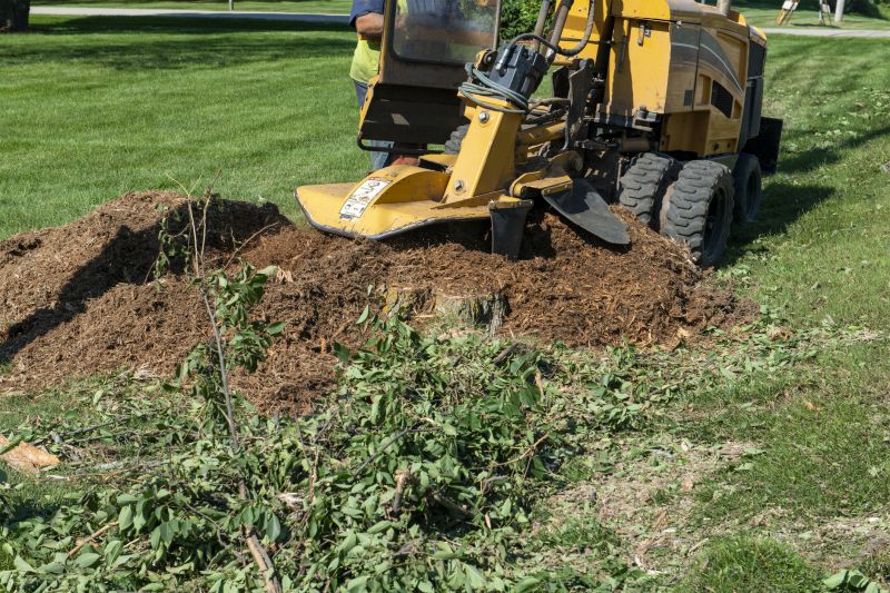 Commercial Stump Grinding in Calvert County, MD