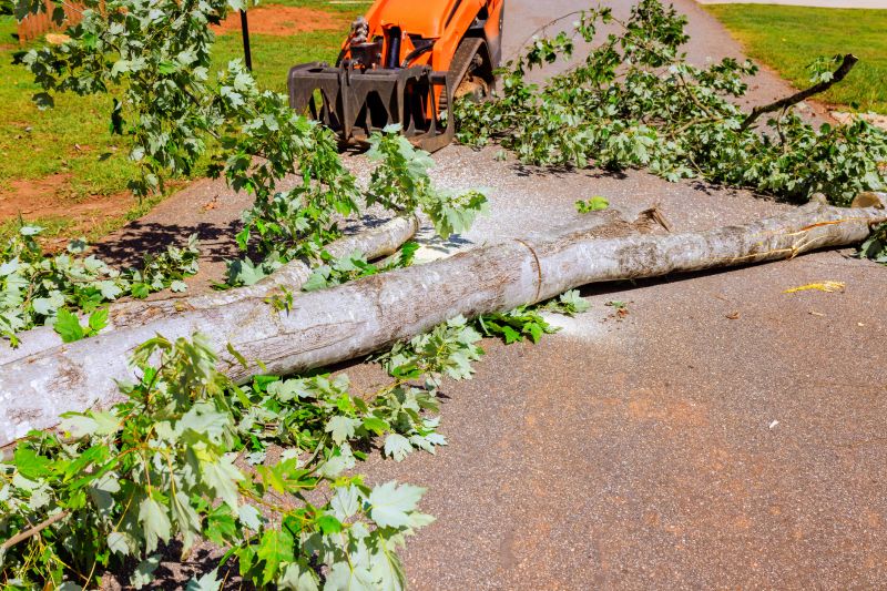 Fallen Tree Removal in Bucks County, PA