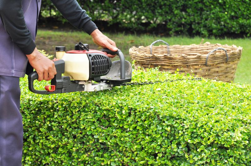 Hedge Removal Service in Rockwall, TX