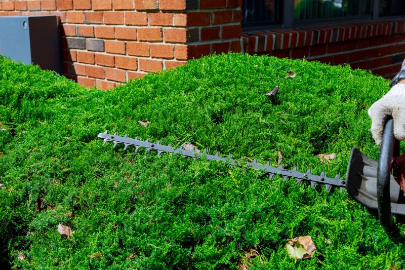 Hedge Trimming in Ventura County, CA