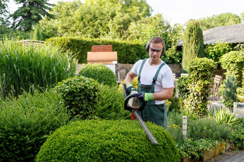 Landscape Pruning Service in Ventura County, CA