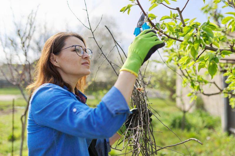 Orchard Tree Pruning in Doylestown, PA