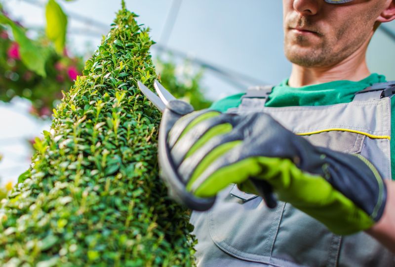 Shrub Trimming in Rockwall, TX