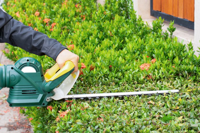 Shrub Trimming in Honolulu, HI
