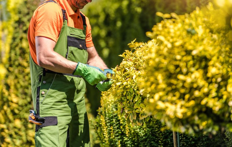 Shrubs Removal in Rockwall, TX
