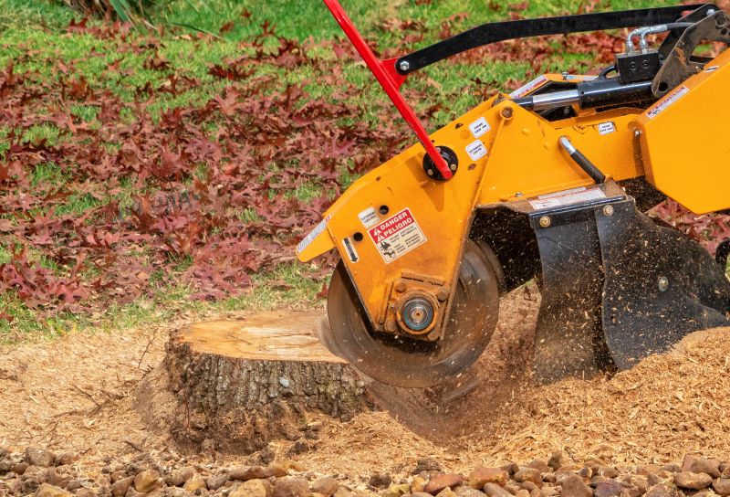 Stump Grinding Service in Waldorf, MD