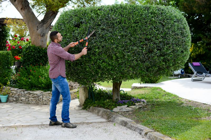 Topiary Shaping in Rockwall, TX