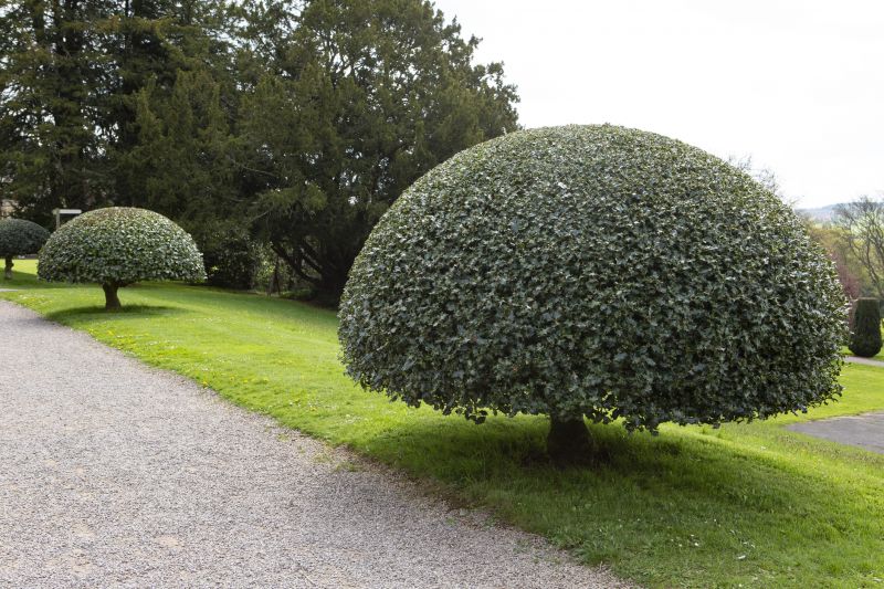 Topiary Shaping in Honolulu, HI