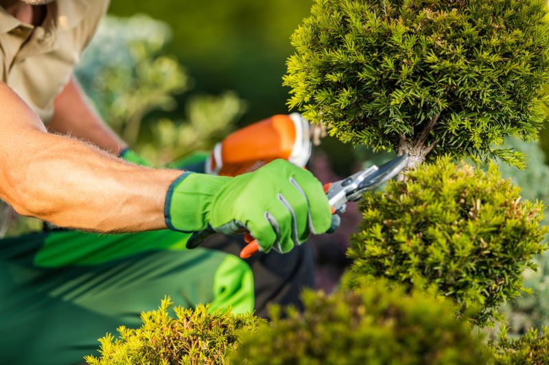 Local Landscaping Firms